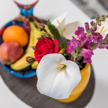 Apartmán Teta Anka *